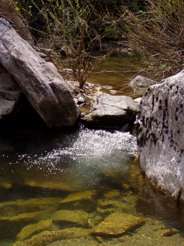 Valle del Farma e Stagno della Troscia: luoghi meravigliosi!
